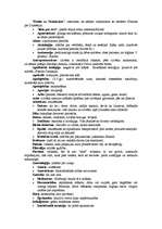 Konspekts 'Filosofijas jēdzienu skaidrojums', 1.