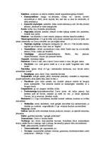 Konspekts 'Filosofijas jēdzienu skaidrojums', 2.