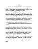 Eseja 'Saskarsmes nozīme manā profesijā', 2.