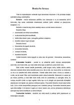 Referāts 'Bezdarbs Ventspilī', 5.