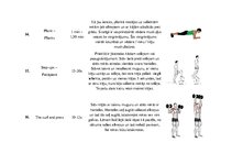 Konspekts 'Treniņa programma spēka trīscīņas sporta veidam', 8.