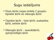 Prezentācija 'Ķirši', 8.