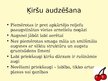 Prezentācija 'Ķirši', 12.