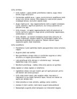 Prezentācija 'Ķirši', 23.