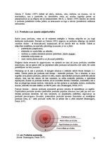 Diplomdarbs 'Zīmolu stratēģija kaimiņvalstu tirgū: Latvija un Igaunija', 13.