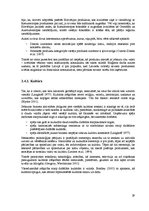 Diplomdarbs 'Zīmolu stratēģija kaimiņvalstu tirgū: Latvija un Igaunija', 29.