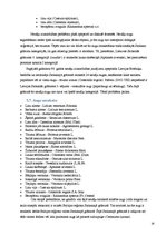 Referāts 'Dabas daudzveidība un aizsardzība Latvijā', 28.