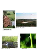 Referāts 'Dabas daudzveidība un aizsardzība Latvijā', 39.