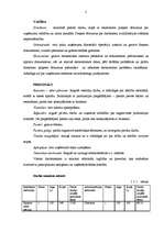 Biznesa plāns 'SIA "Vanda"', 2.