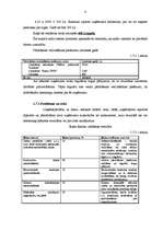 Biznesa plāns 'SIA "Vanda"', 8.