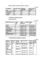 Biznesa plāns 'SIA "Vanda"', 11.