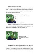 Referāts 'Globālā pozicionēšanas sistēma', 8.