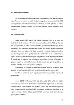 Referāts 'Globālā pozicionēšanas sistēma', 12.