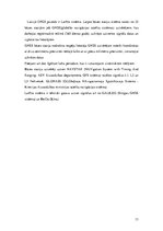 Referāts 'Globālā pozicionēšanas sistēma', 13.