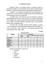 Biznesa plāns 'SIA "Šarms" paplašināšanas stratēģiskais plāns', 5.