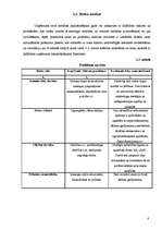 Biznesa plāns 'SIA "Šarms" paplašināšanas stratēģiskais plāns', 8.