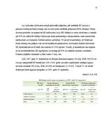 Referāts 'Eiropas Ekonomiskā un Monetārā savienība. Eiro ieviešanas process un problēmas L', 14.