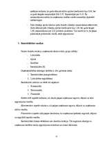 Prakses atskaite 'Mācību prakses pārskats "Finanšu analīzē"', 21.