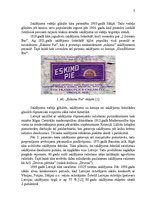 Referāts 'Saldējuma tirgus izpēte', 5.