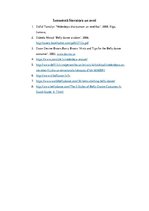 Referāts 'Vēderdejas izcelsme un tērpa raksturojums', 14.