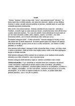 Referāts 'Cilvēku tirdzniecība pasaulē', 3.