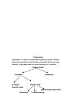 Referāts 'Cilvēku tirdzniecība pasaulē', 11.