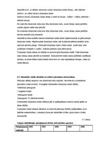 Referāts 'Cilvēku tirdzniecība pasaulē', 13.