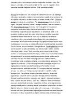 Konspekts 'Datora arhitektūra', 10.