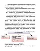 Konspekts 'Starptautiskā tirgus izvēle un startēģijas iekļūšanai starptautiskajā tirgū', 2.