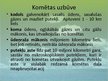 Prezentācija 'Komētas', 3.