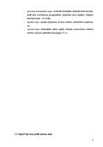 Biznesa plāns 'Viesnīca "The Sphere"', 6.