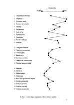 Biznesa plāns 'Viesnīca "The Sphere"', 7.