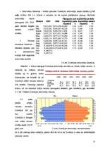 Biznesa plāns 'Viesnīca "The Sphere"', 10.