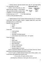 Biznesa plāns 'Viesnīca "The Sphere"', 11.