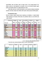 Biznesa plāns 'Viesnīca "The Sphere"', 13.