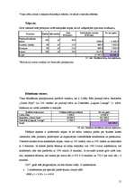 Biznesa plāns 'Viesnīca "The Sphere"', 15.