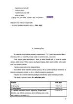 Biznesa plāns 'Viesnīca "The Sphere"', 16.