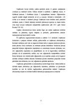 Diplomdarbs 'Informācijas sistēmu ieviešanas problēmas un risinājumi ', 51.