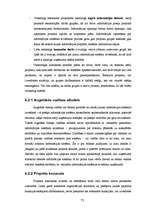 Diplomdarbs 'Informācijas sistēmu ieviešanas problēmas un risinājumi', 73.