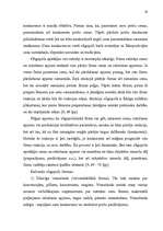 Referāts 'Tirgus organizēšana uzņēmējdarbībā', 16.