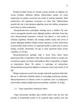 Referāts 'Tirgus organizēšana uzņēmējdarbībā', 18.