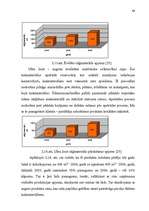 Referāts 'Tirgus organizēšana uzņēmējdarbībā', 61.