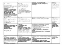 Prakses atskaite 'Aprūpes plāns terapijā', 8.