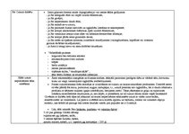 Prakses atskaite 'Aprūpes plāns terapijā', 13.