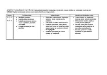 Prakses atskaite 'Aprūpes plāns terapijā', 17.