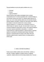 Referāts 'Mājsaimniecību un uzņēmumu mijiedarbība Latvijā', 13.