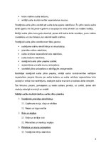 Referāts 'Iekšējā audita likuma prasības', 4.