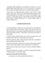 Referāts 'Iekšējā audita likuma prasības', 7.