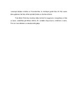 Referāts 'Deivids Linčs', 7.