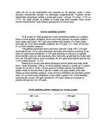 Referāts 'Bezdarbs Latvijā', 7.